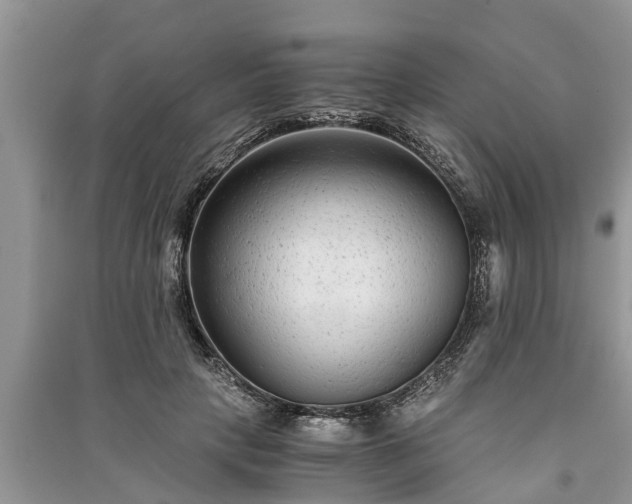 X0000091060649200708131131
