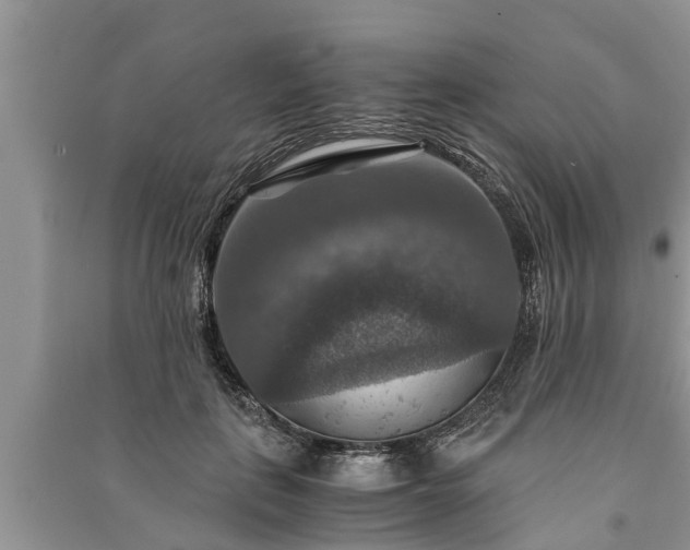 X0000091060651200708131131