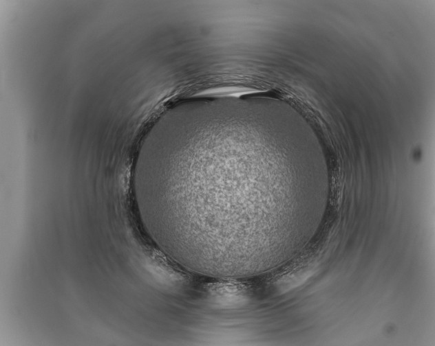 X0000091060652200708131131