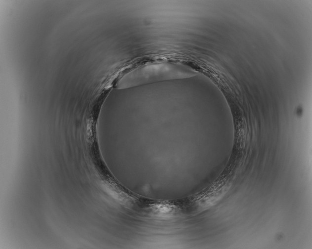 X0000091060654200708131131