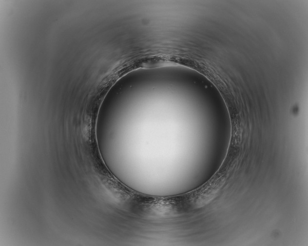 X0000091060656200708131131