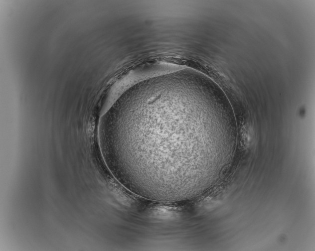 X0000091060657200708131131