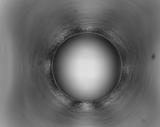 X0000091060660200708131131
