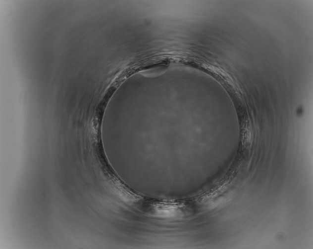 X0000091060661200708131131