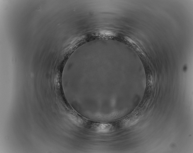 X0000091060663200708131131