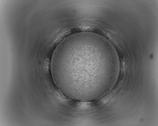 X0000091060664200708131131