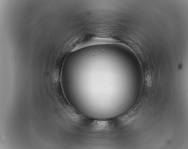 X0000091060665200708131131