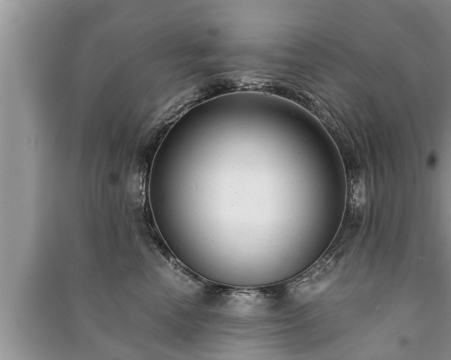 X0000091060666200708131131