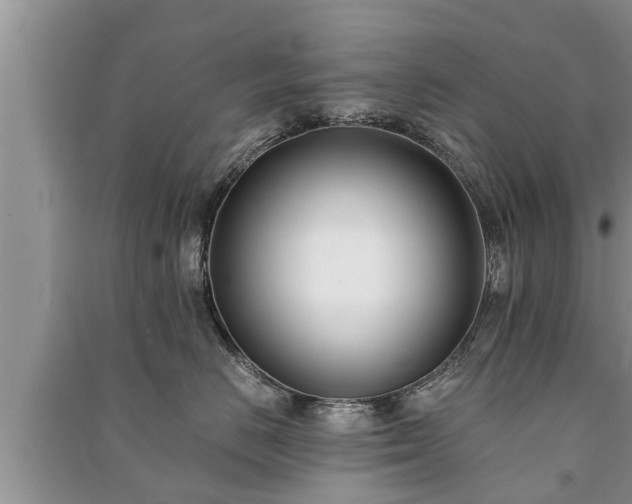X0000091060670200708131131