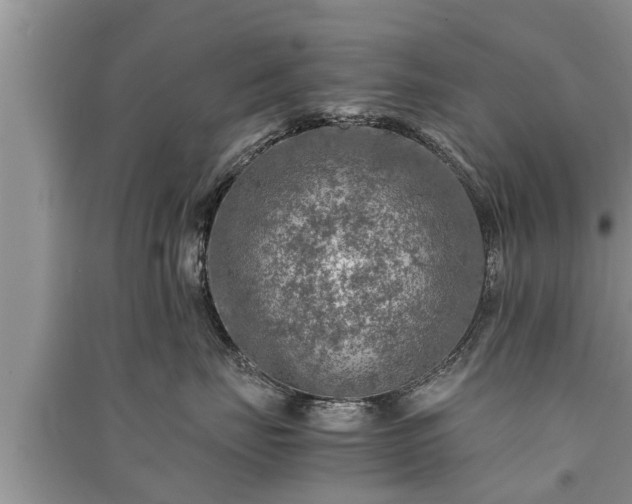 X0000091060671200708131131