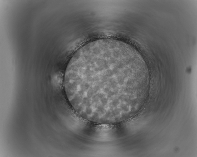 X0000091060672200708131131