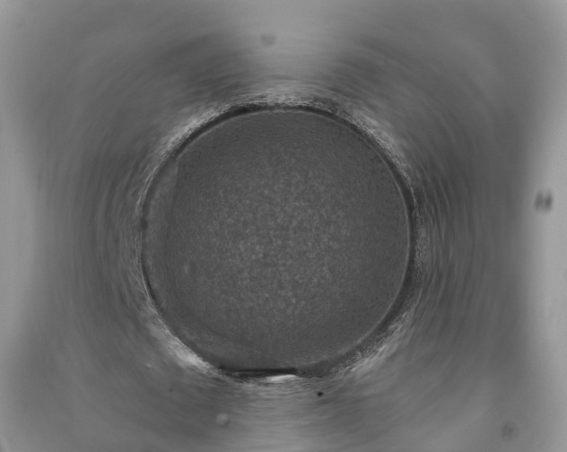 X0000091060673200708131131