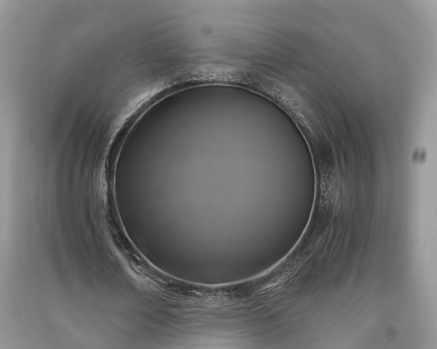 X0000091060674200708131131