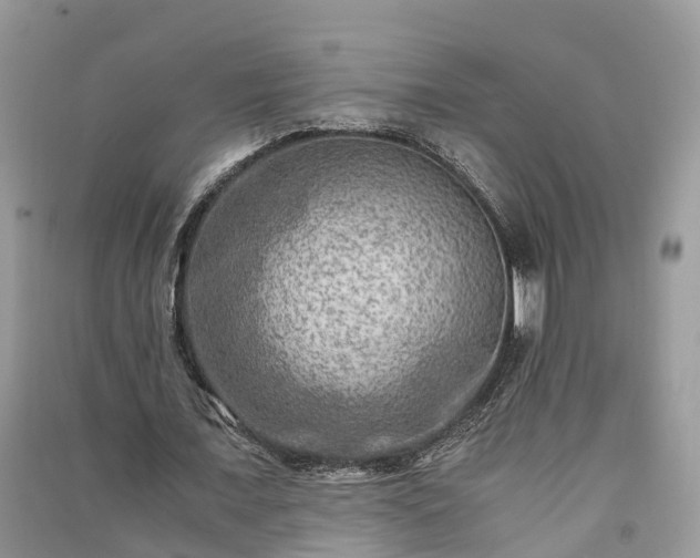 X0000091060675200708131131