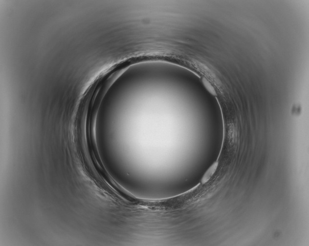 X0000091060676200708131131