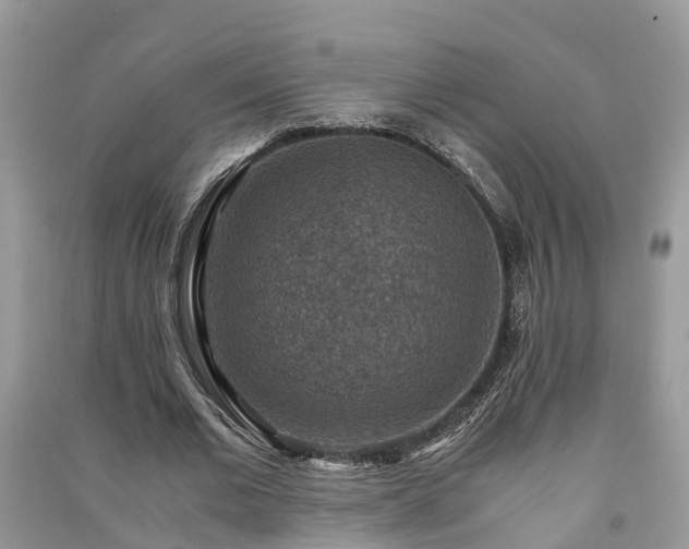X0000091060677200708131130