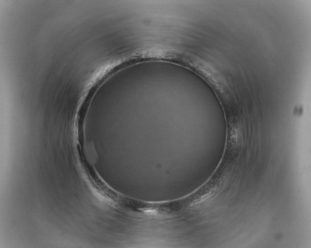 X0000091060678200708131130