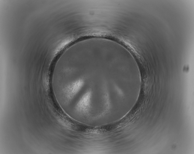 X0000091060679200708131130