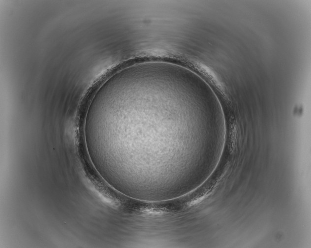 X0000091060680200708131130
