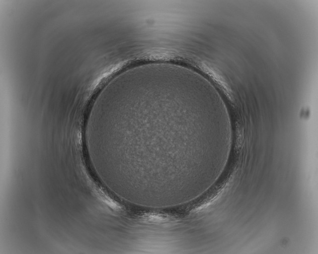 X0000091060681200708131130