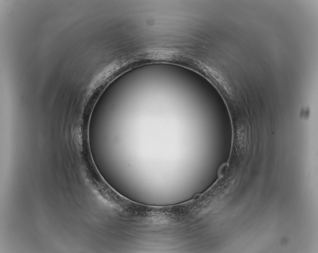 X0000091060682200708131130