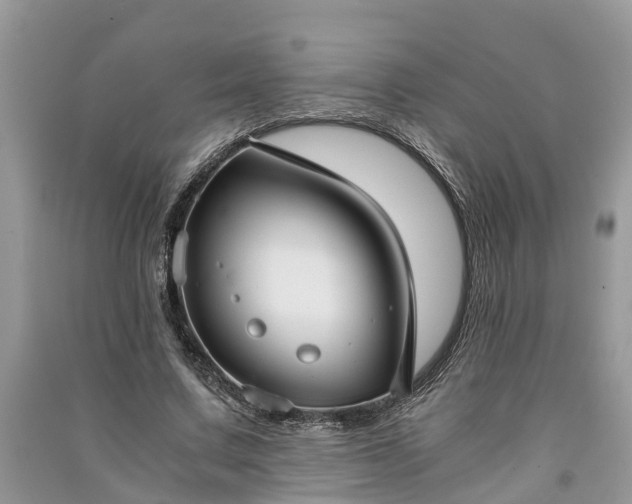 X0000091060683200708131130