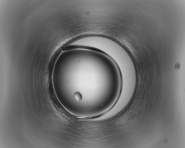 X0000091060684200708131130