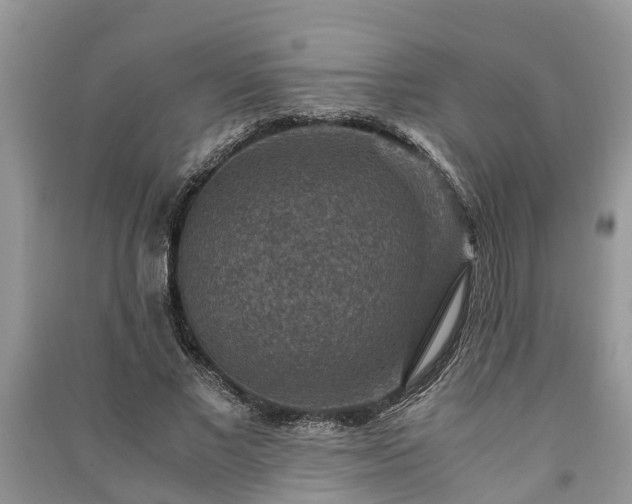 X0000091060685200708131130