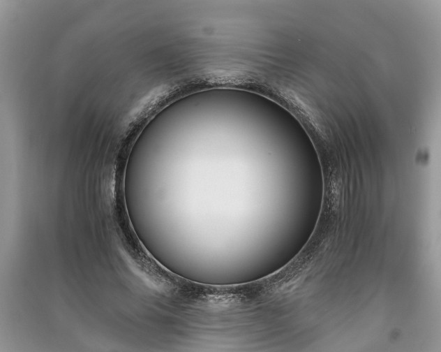 X0000091060686200708131130