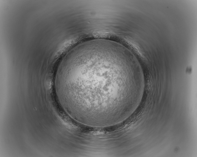 X0000091060687200708131130
