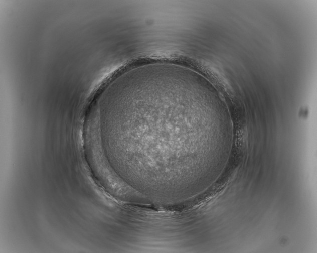 X0000091060688200708131130