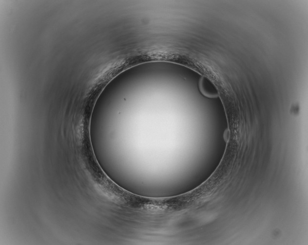 X0000091060690200708131130