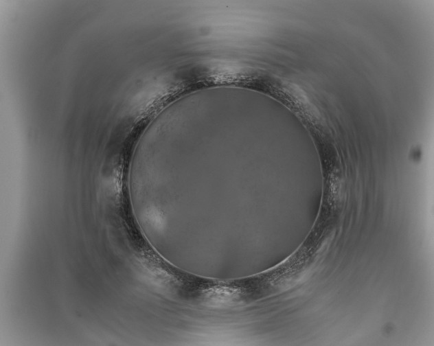 X0000091060691200708131130