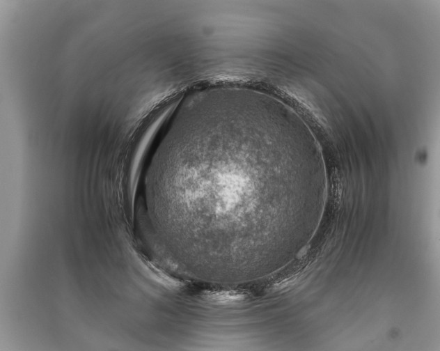 X0000091060692200708131130