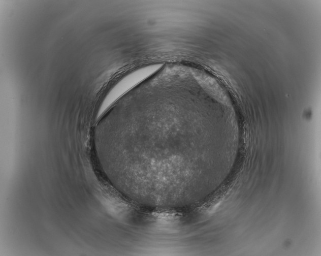 X0000091060693200708131130