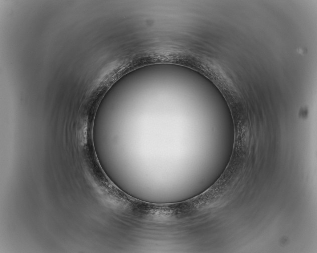 X0000091060694200708131130