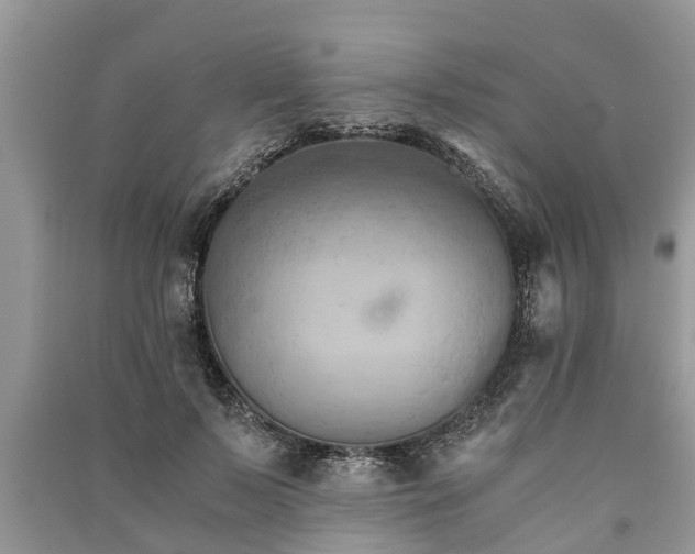 X0000091060695200708131130
