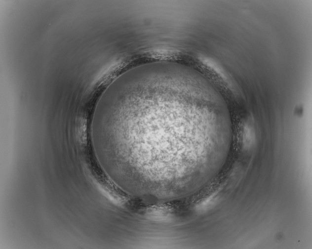 X0000091060696200708131130