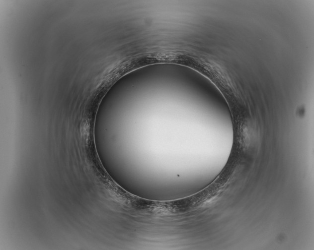 X0000091060697200708131130