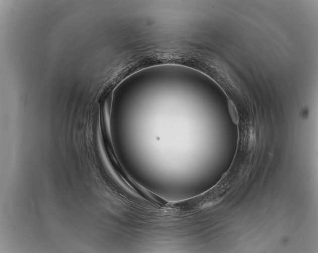 X0000091060700200708131130