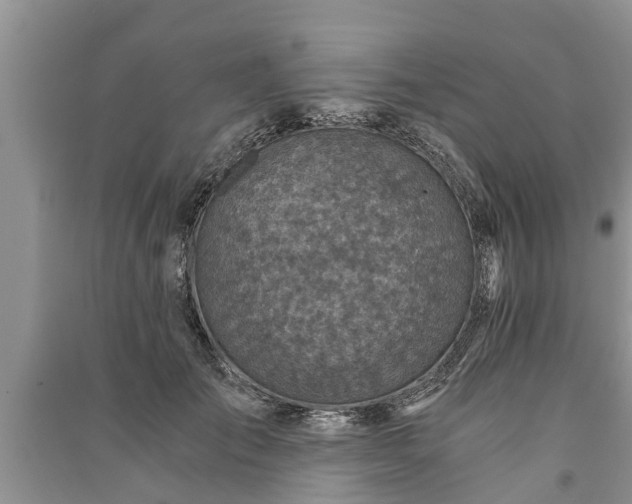 X0000091060701200708131130