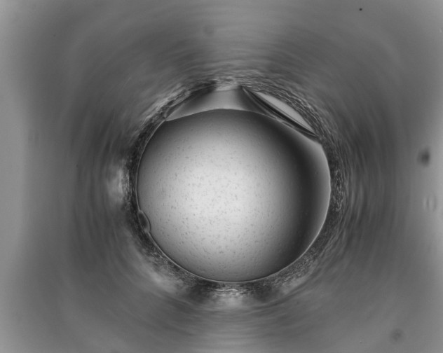 X0000091060704200708131130