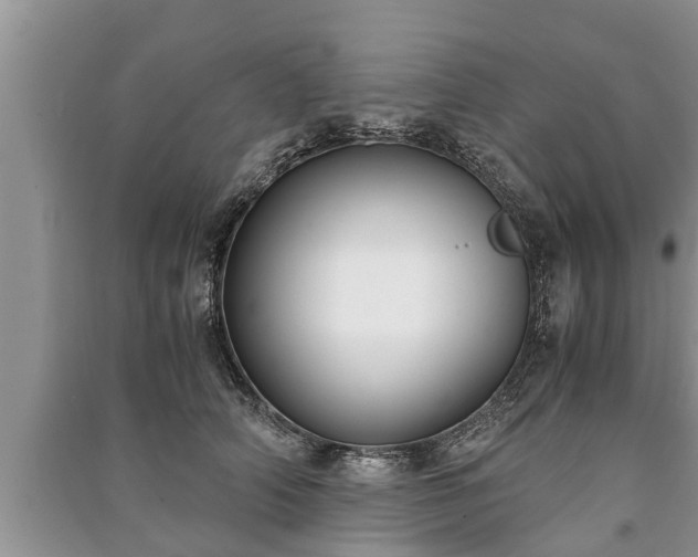 X0000091060706200708131130