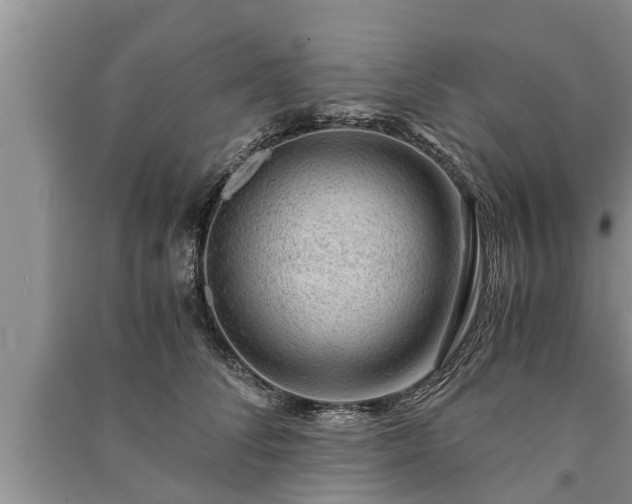 X0000091060708200708131130