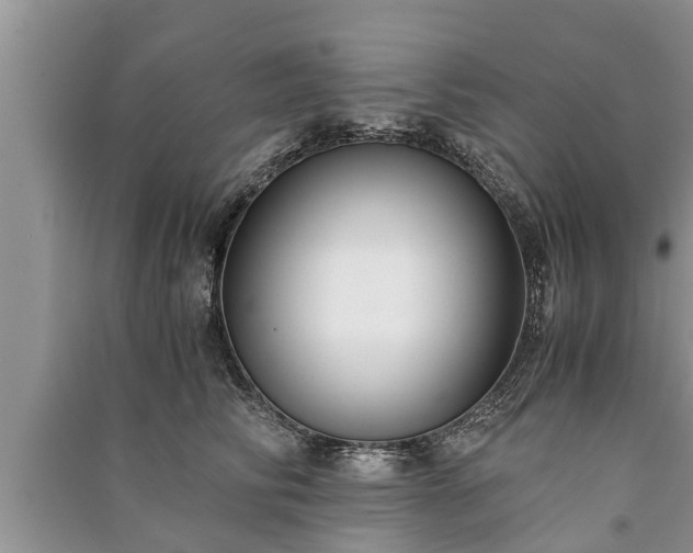 X0000091060710200708131130