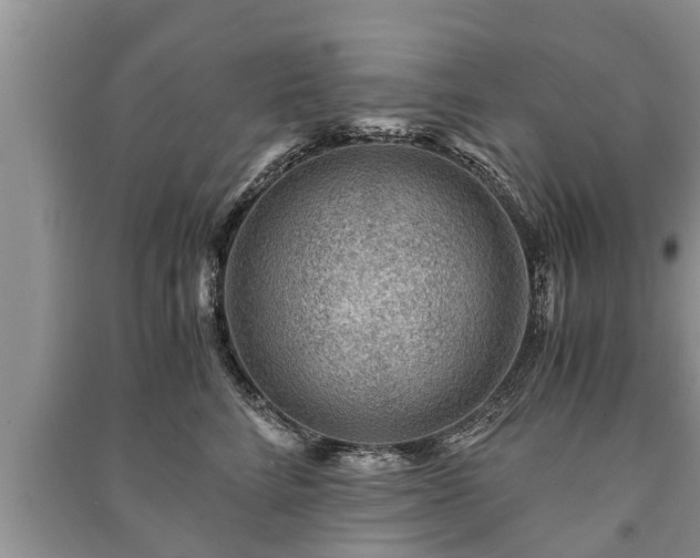X0000091060712200708131130