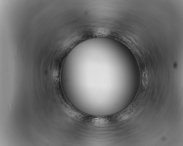 X0000091060714200708131130