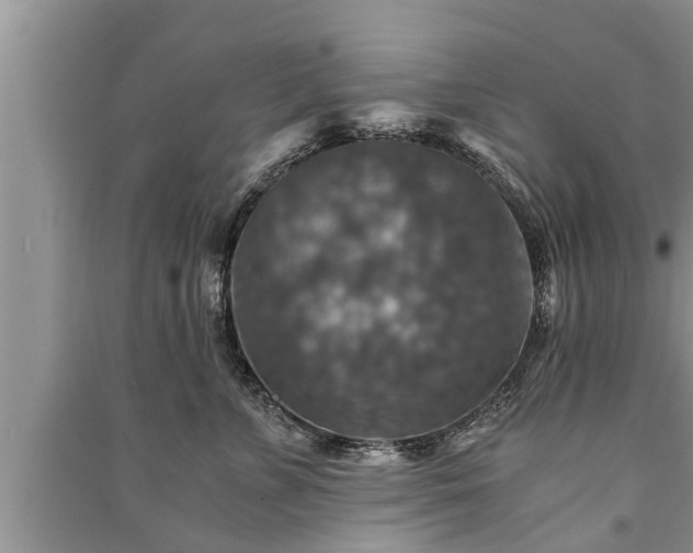 X0000091060715200708131130
