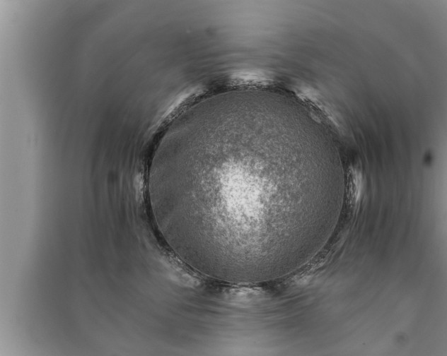 X0000091060716200708131130