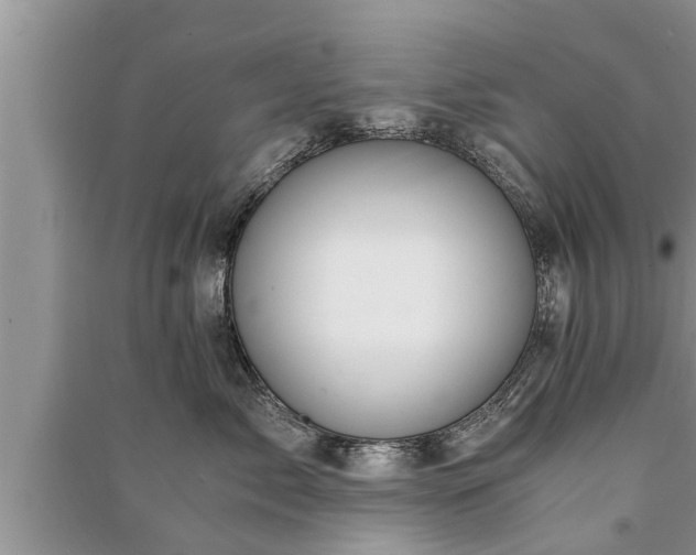 X0000091060717200708131130